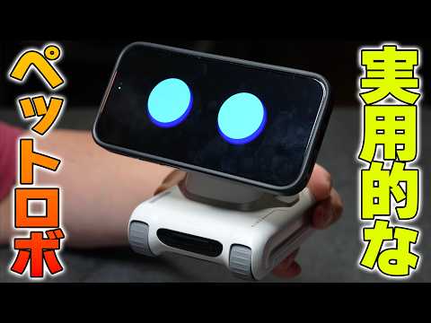 実用的‼️AIロボットペット「Looi」デスクトップの相棒はコイツに決まり♪