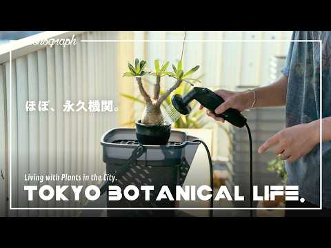 売り切れ続出！室内&ベランダで「無限循環」水やりができるセット、爆誕しました【TBL89】