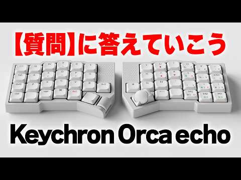 Orca echoの【質問】に答えていこう。