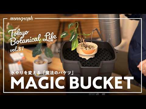 【品薄注意】室内の観葉植物に革命を起こす「噂のバケツ」が評判通りに素晴らしかった…【TBL87】