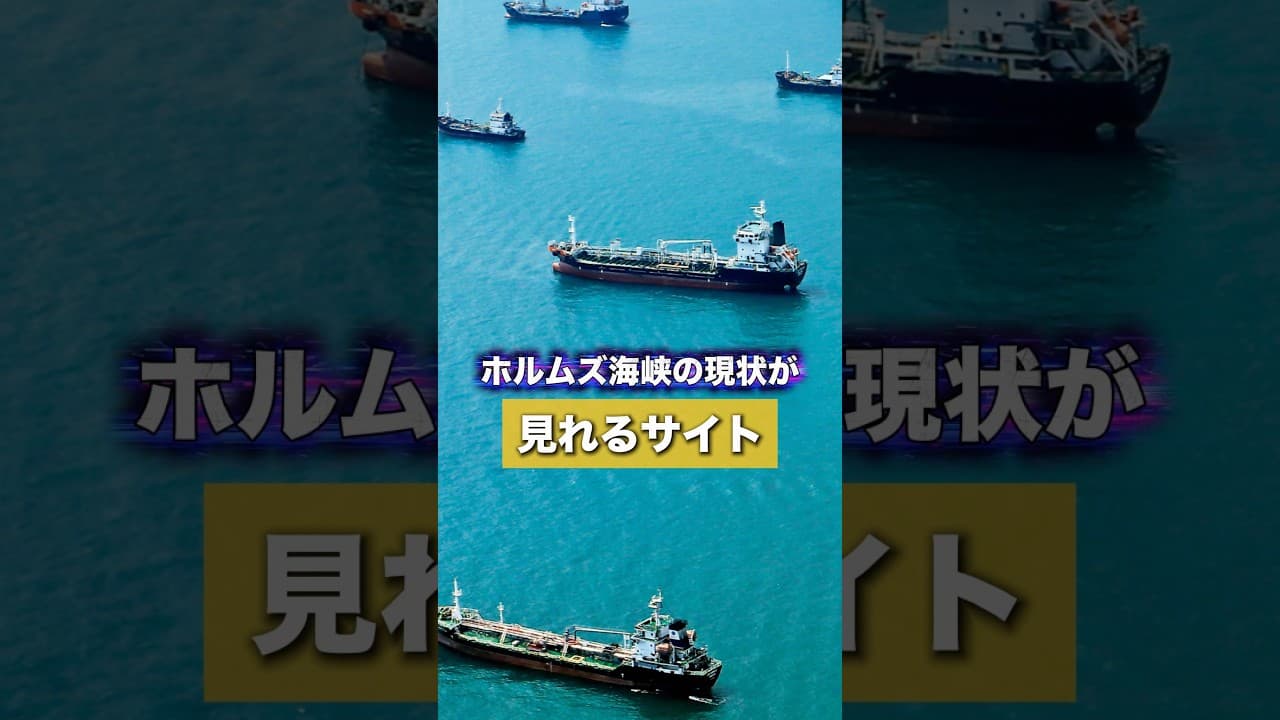ホルムズ海峡がいつ再開されるのか確かめる事ができるサイトを紹介！世界中の船の動きを確かめる事ができるよ！#ホルムズ海峡閉鎖 #marrinetraffic #vesselfinder#ホルムズ海峡再開
