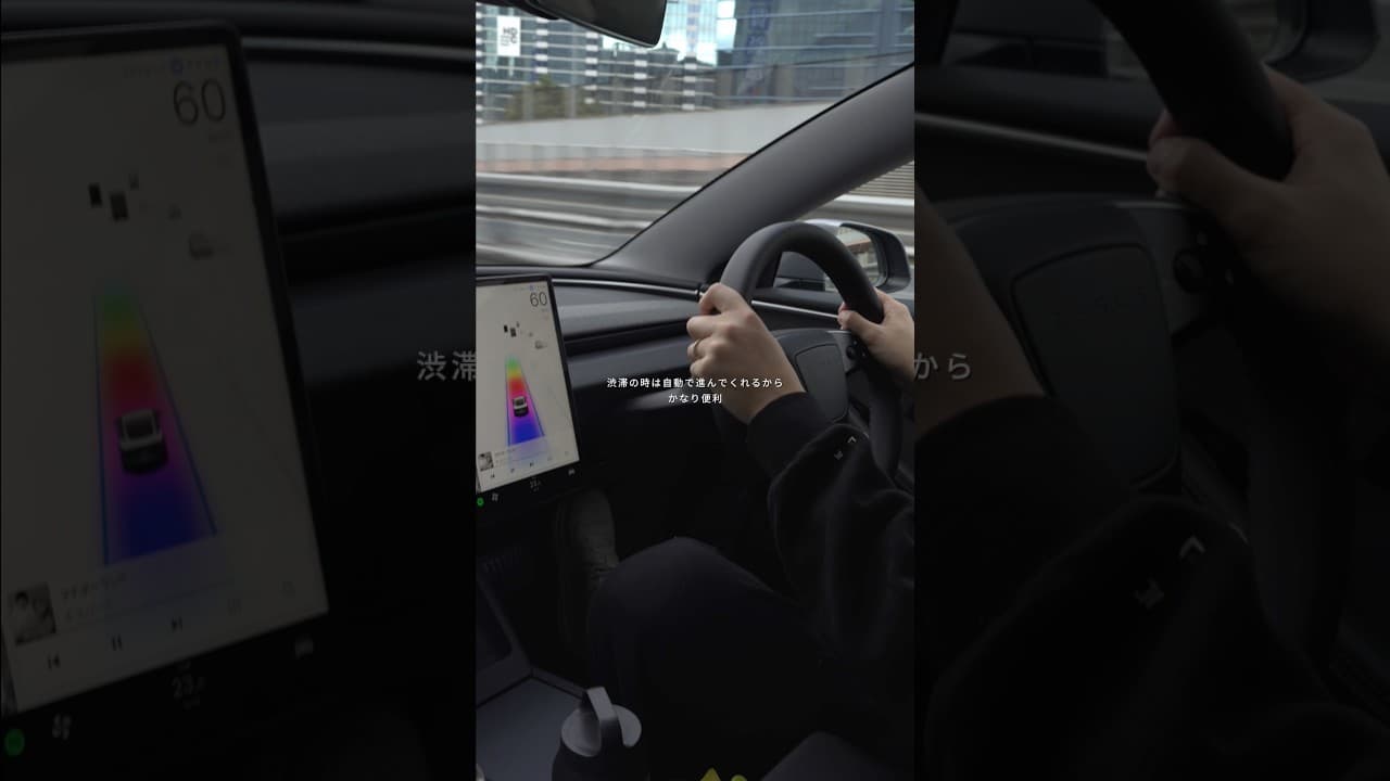30代 男 一年乗って分かったテスラのデメリット　#Tesla #テスラ