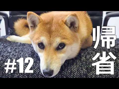 【帰省part12】神戸単身赴任39歳既婚4人暮らしの奈良帰宅【地元】