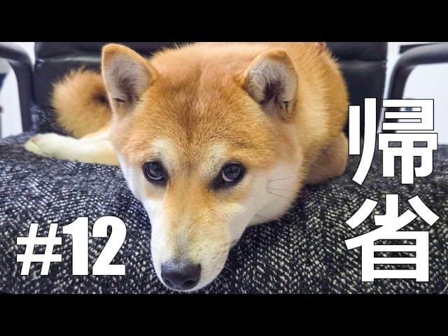 【帰省part12】神戸単身赴任39歳既婚4人暮らしの奈良帰宅【地元】